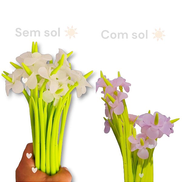 CANETA FLOR- MUDA COR NO SOL