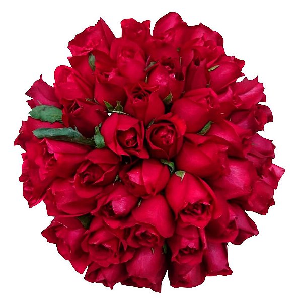Buquê com 50 Rosas Vermelhas Nacionais