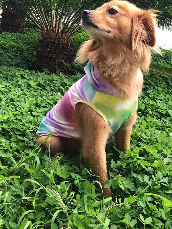 Camisa Tie Dye para Cachorro