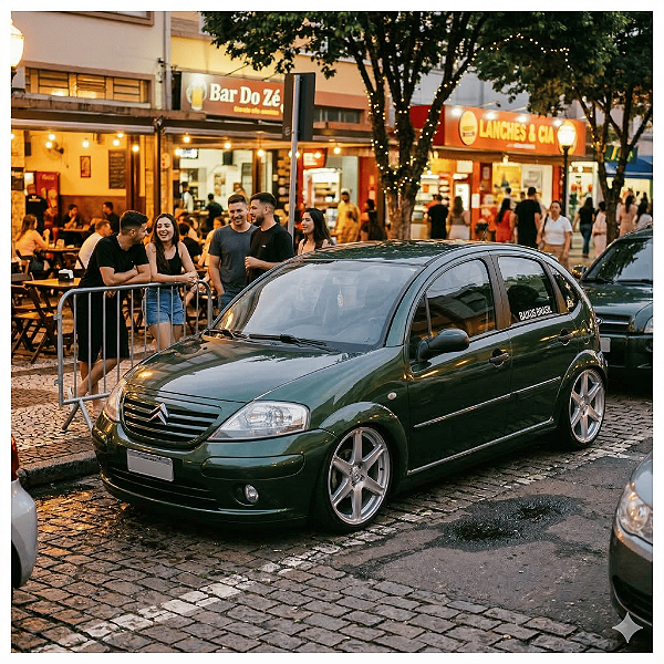 Amortecedor Preparado para Citroen C3