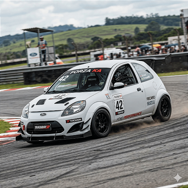 Kit Suspensão Track Day Ford Ka Segunda Geração
