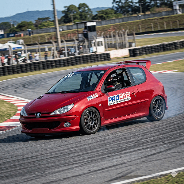 Kit Suspensão Trackday Peugeot 206/207