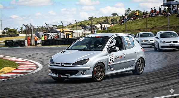 Amortecedor Preparado Trackday/Hotlap Peugeot 206