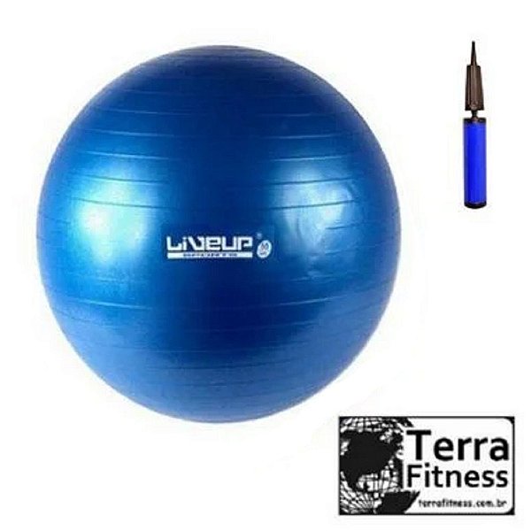 Bola Suiça Fitball 65Cm Premium Anti Burst Azul - Terra Fitness