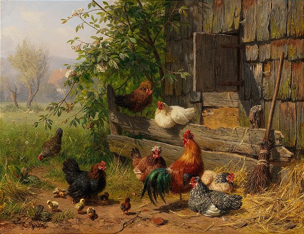 Galinheiro - Carl Jutz