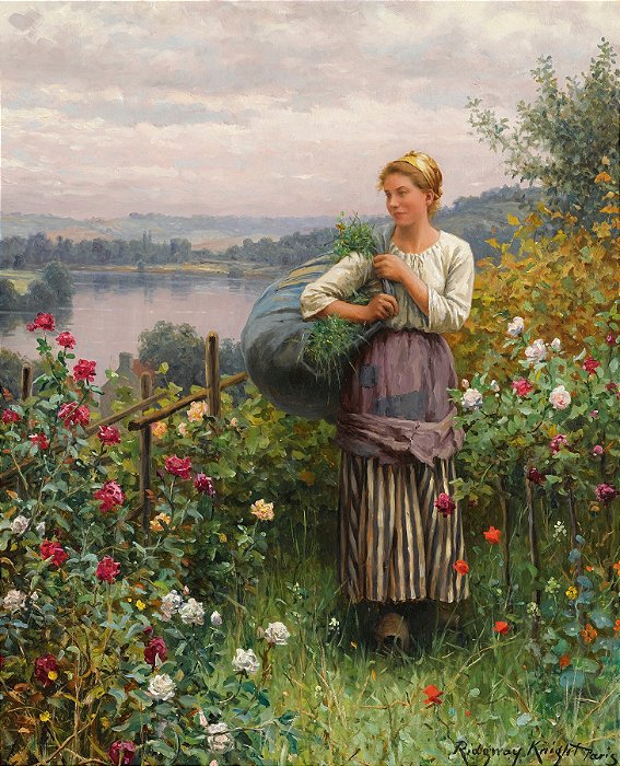 O Jardim de Rosas - Daniel Ridgway