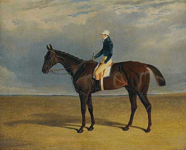 Margrave, um cavalo de corrida castanho-avermelhado - John Frederick Herring Sr