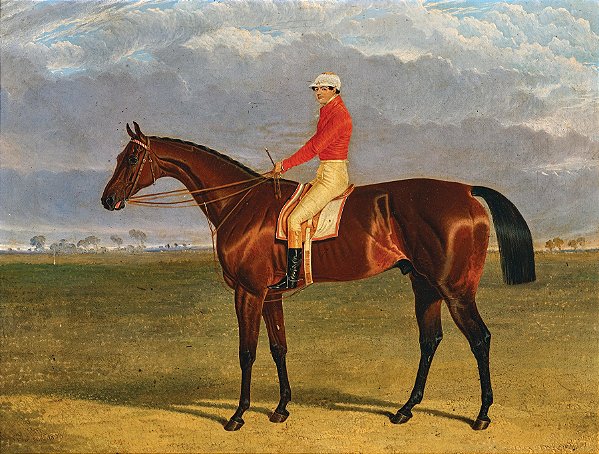 Garanhão marrom de 5 anos de George Walker - John Frederick Herring Sr