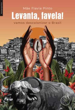 Levanta, favela!: vamos descolonizar o Brasil