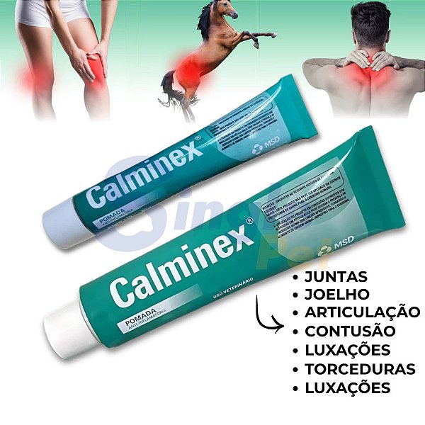 Calminex Pomada Anti-inflamatória Muscular Dores Pancadas 100g