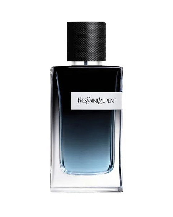 Y Yves Saint Laurent Masculino Eau de Parfum 100ml