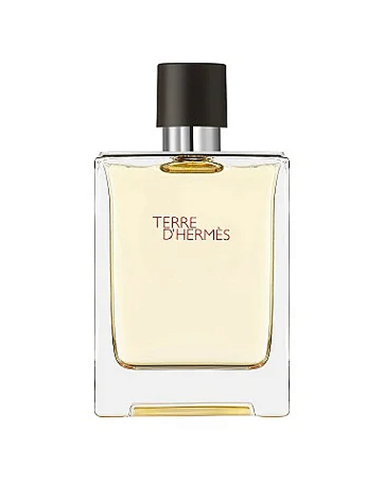Terre D'Hermès Masculino Eau de Toilette (Decant)