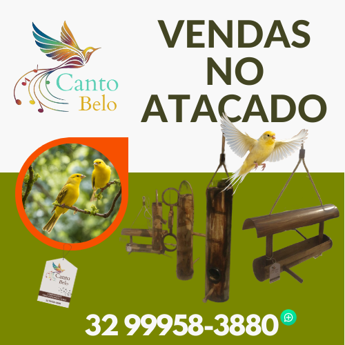 Vendas no Atacado