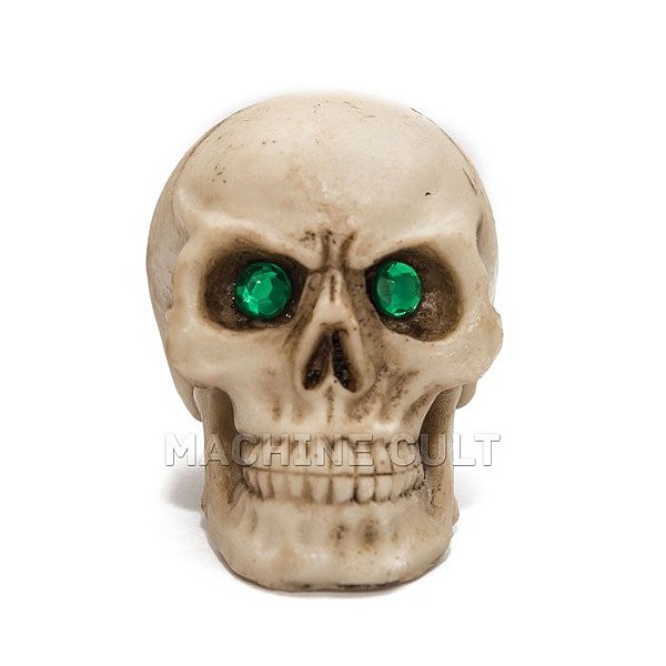 crânio de caveira em