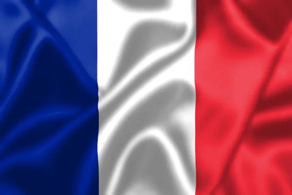 Bandeira da França de Cetim 1,40x0,91cm Copa do Mundo