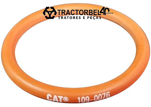 ANEL RETENTOR - 1090076
