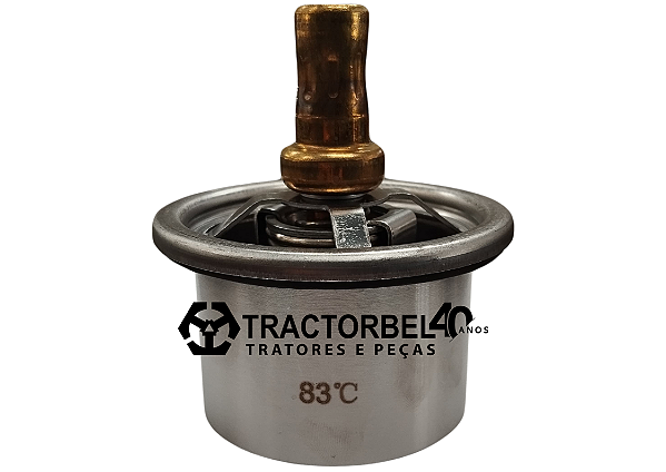 VÁLVULA TERMOSTÁTICA - 4184163