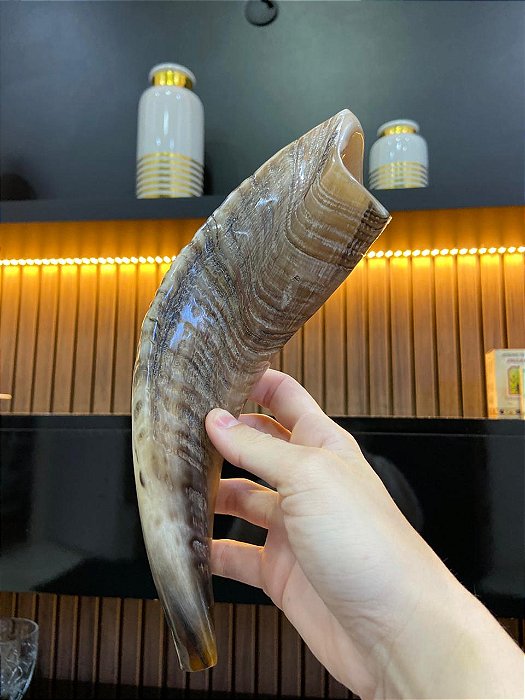 Shofar Direto de Israel | Modelo 1 - 30cm