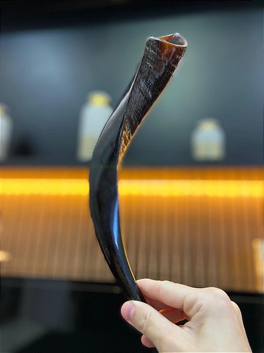 Shofar Direto de Israel | Modelo 4 - 34cm