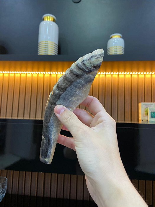 Shofar Direto de Israel | Modelo 9 - 20cm