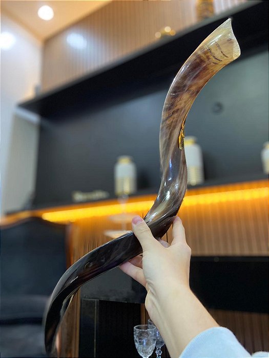 Shofar Direto de Israel | Modelo 18 - 71cm