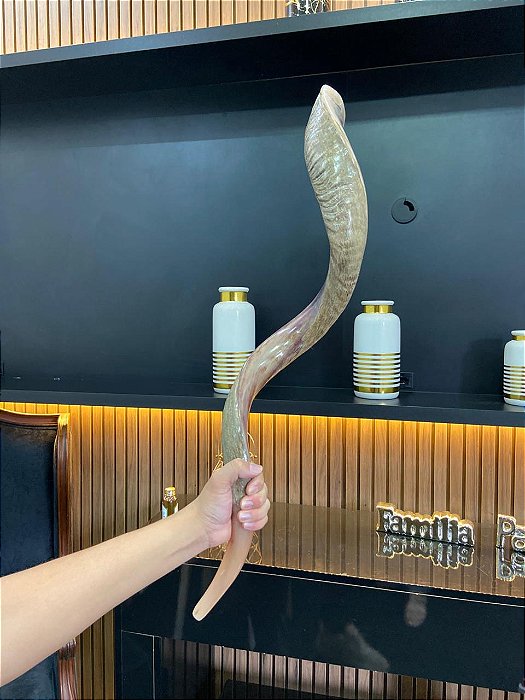 Shofar Direto de Israel | Modelo 22 - 1m e 05cm