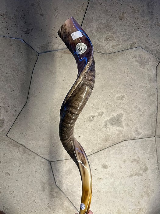 Shofar de Antílope Direto de Israel | Modelo A4