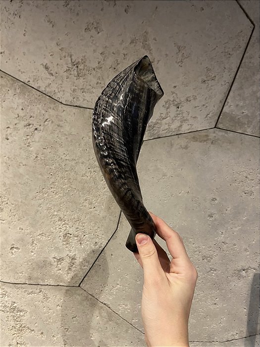 Shofar de Carneiro - Direto de Israel | Modelo B9