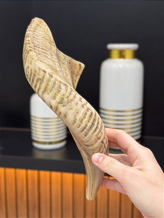 Shofar de Carneiro - Direto de Israel | Modelo D4 29cm