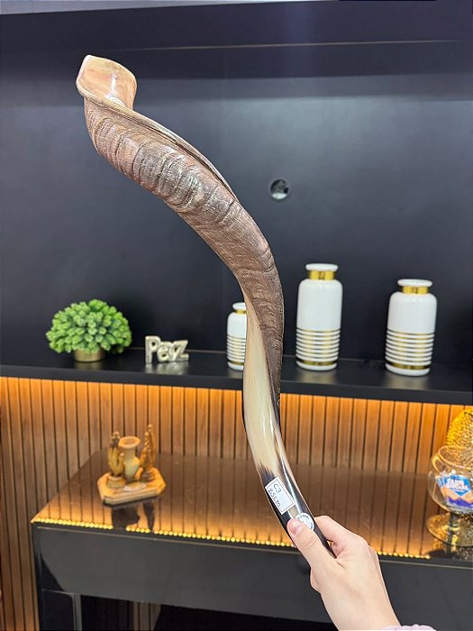 Shofar de Antílope Direto de Israel | Modelo C3 85cm