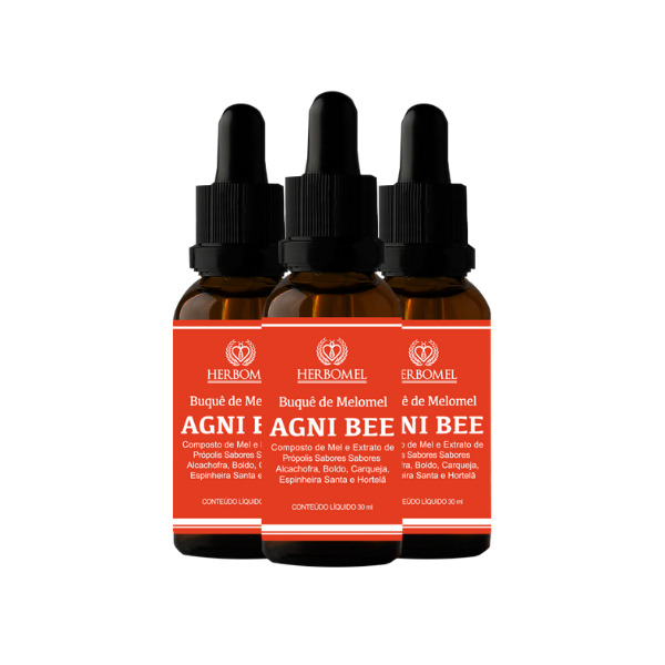 Kit 03 Melomel Agni Bee Digestivo 30ml HerboMel Natural