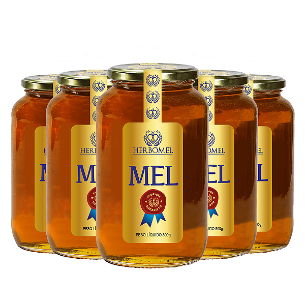 Kit 05 Unidades de Mel Puro de Abelhas Premium 800g Eucalipto HerboMel Natural