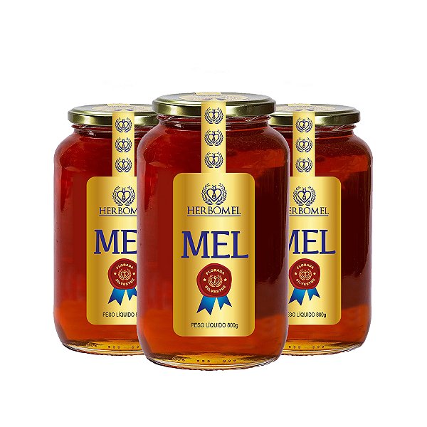 Kit 03 Unidades Mel Puro de Abelhas Premium 800g Silvestre HerboMel Natural