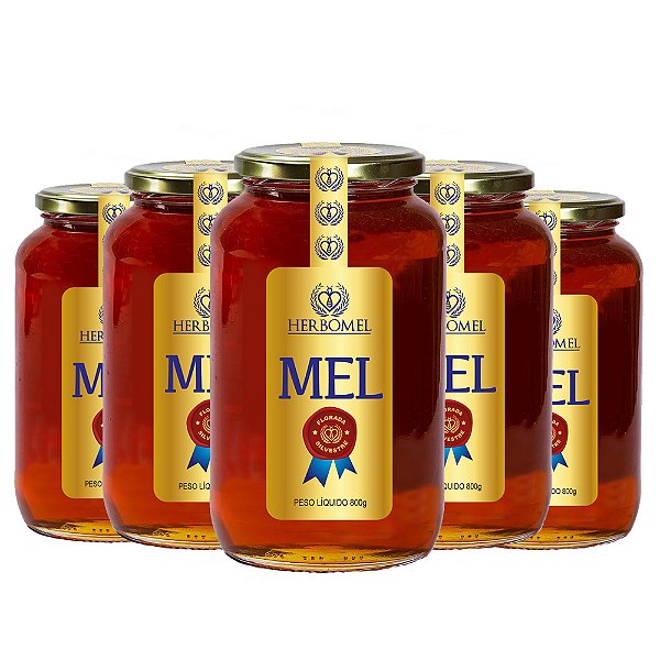 Kit 05 Unidades Mel Puro de Abelhas Premium 800g Silvestre HerboMel Natural