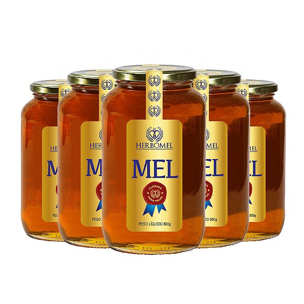 Kit 05 Unidades Mel Puro de Abelhas Premium 800g Assa-peixe HerboMel Natural