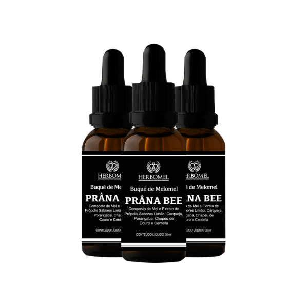 Kit 03 Melomel Prana Bee Emagresim 30ml HerboMel Natural