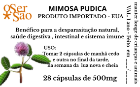 MIMOSA PUDICA