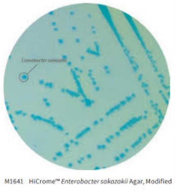 💥❆ Ágar cromogênico (HiCrome) Enterobacter sakazakii, modificado, frasco com 500 gramas M1641-500G (Himedia)