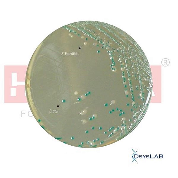💥 Ágar cromogênico (HiCrome) Escherichia coli, frasco com 500 gramas M1295-500G (Himedia)