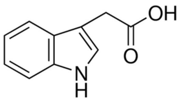 3-Indoleacetic acid, 98%, CAS 87-51-4, frasco com 5 gramas I3750-5G-A (SIGMA)