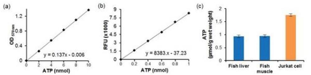 ATP ASSAY KIT (SIGMA)