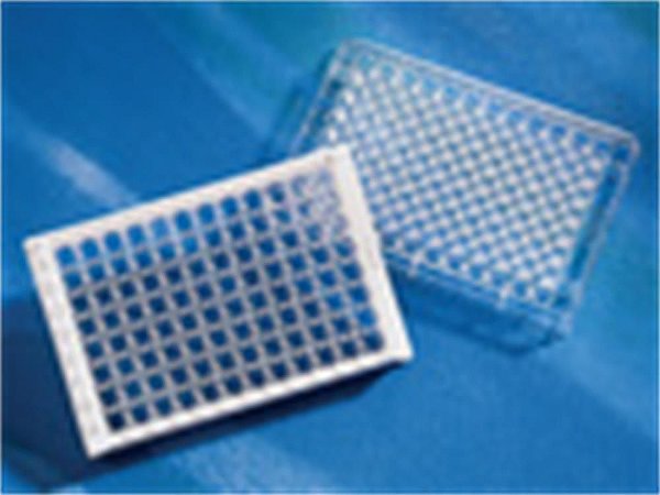 Microplaca 96 poços DNA-BIND®, transparente, fundo plano, PS, sem tampa, não estéril, caixa com 50 unidades mod.: 2505 (Corning)