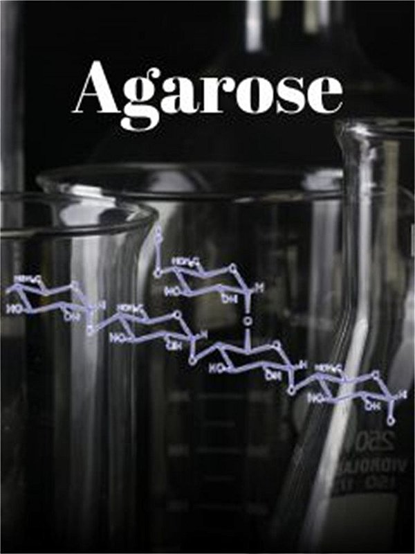 Agarose GTG (Grau Técnico Genético), Frasco com 500 gramas 13-15005-05 (LGC-Bio)