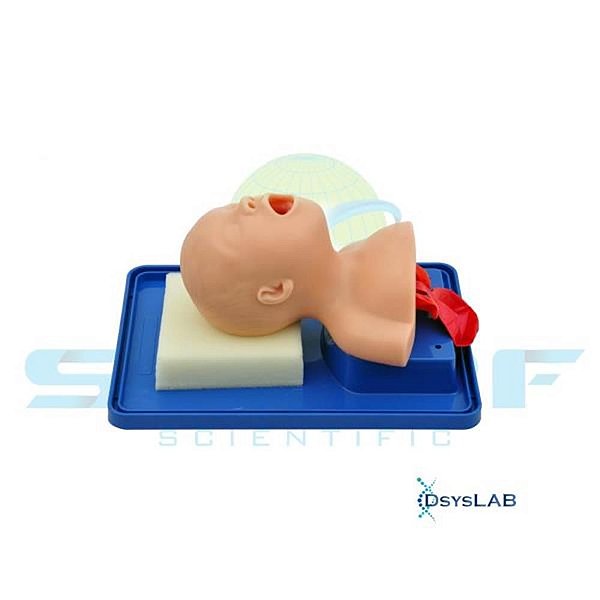 Simulador de intubação em criança, mod.: SD4006/B (Sdorf)