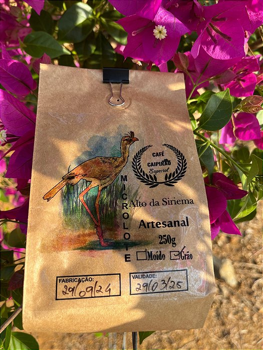Café Especial Microlote Alto da Siriema 250g Grão