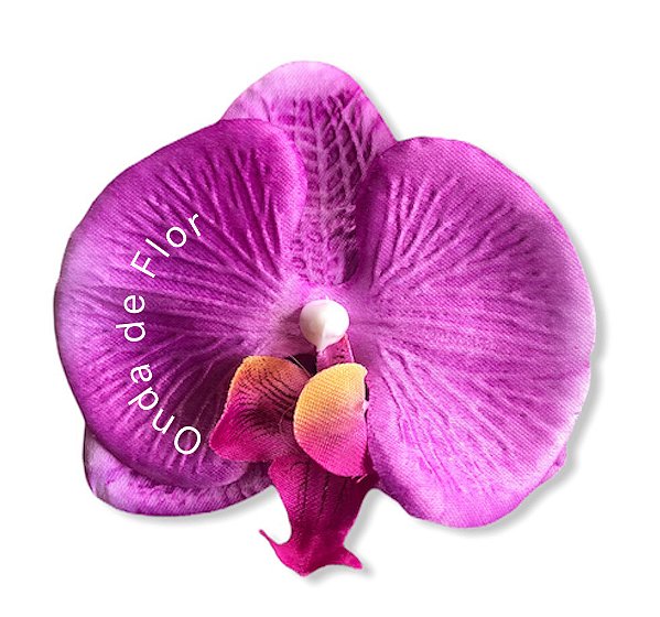 Presilha de orquídea média Roxa