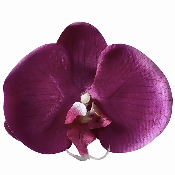 Presilha de orquídea Barbie