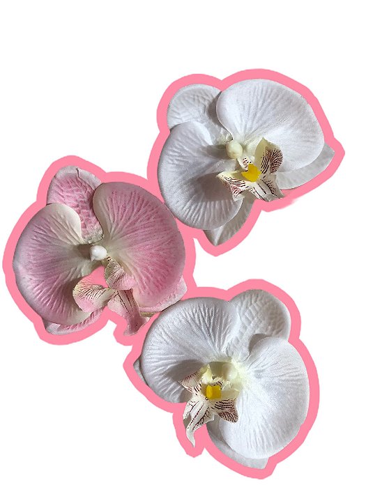 Kit trio de orquideas M