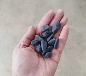 Seixo Preto Nº 1 - 15 kg