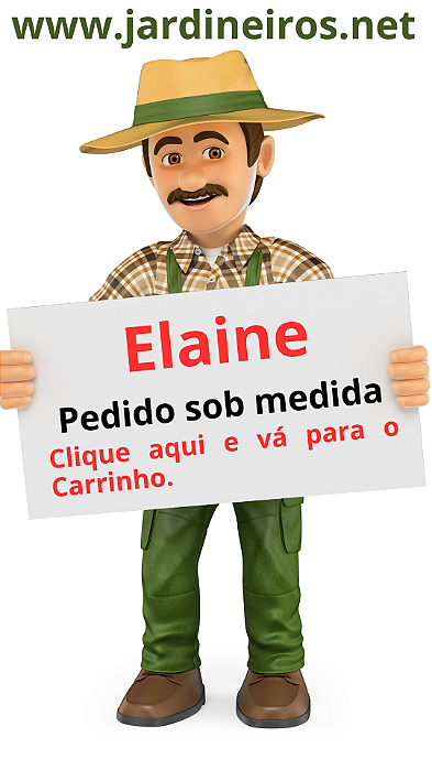 Elaine